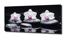 obraz na szkle, panel szklany Orchidea 15