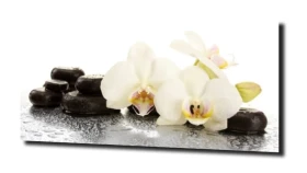 obraz na szkle, panel szklany Orchidea 25
