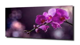 obraz na szkle, panel szklany Orchidea 28