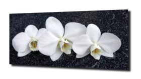 obraz na szkle, panel szklany Orchidea 30