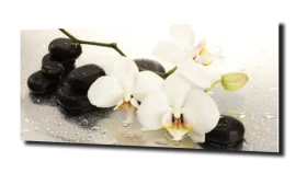 obraz na szkle, panel szklany Orchidea 38