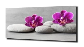 obraz na szkle, panel szklany Orchidea 42
