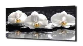 obraz na szkle, panel szklany Orchidea 45