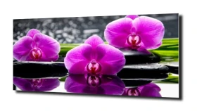 obraz na szkle, panel szklany Orchidea 50