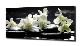 obraz na szkle, panel szklany Orchidea 56