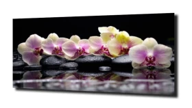 obraz na szkle, panel szklany Orchidea 59
