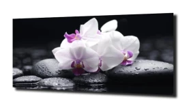 obraz na szkle, panel szklany Orchidea 65