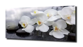 obraz na szkle, panel szklany Orchidea 2