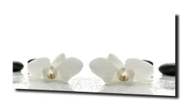 obraz na szkle, panel szklany Orchidea 4
