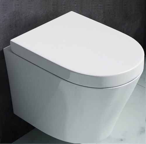 Misa WC Lorena/Sonet Rimless zdjecie 1 polskie kabiny