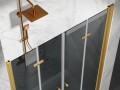 drzwi prysznicowe skladane okucia zloty szczotkowany szklo grafitowe D1900 dual zdjecie 2 polskie kabiny